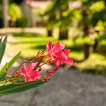 Harmonia Village *