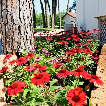 Campingplatz Harmonia Village